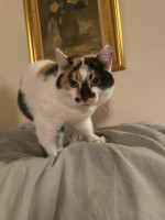 /album/265/whatsapp-image-2026-03-25-at-19-49-28-4-jpeg/